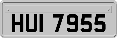 HUI7955