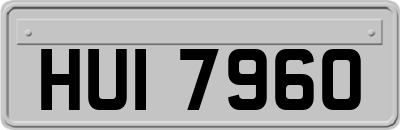 HUI7960