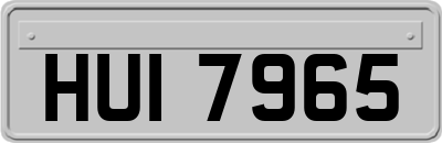 HUI7965