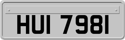 HUI7981