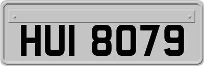 HUI8079