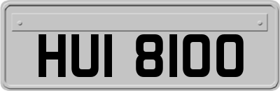 HUI8100