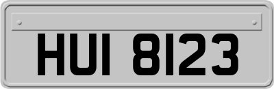 HUI8123