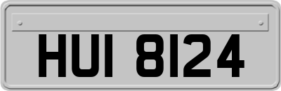 HUI8124