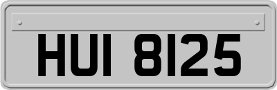 HUI8125