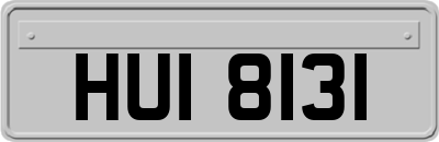 HUI8131