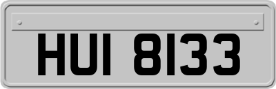 HUI8133