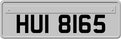 HUI8165