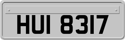 HUI8317