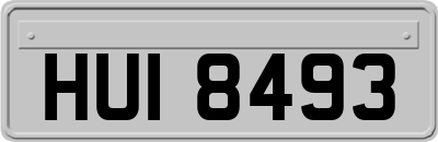 HUI8493