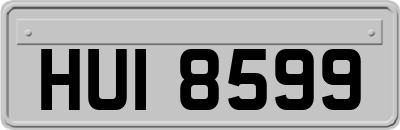 HUI8599