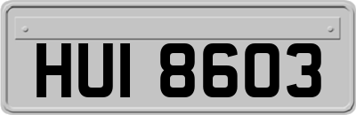 HUI8603