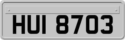 HUI8703