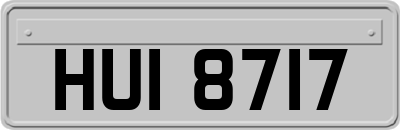 HUI8717