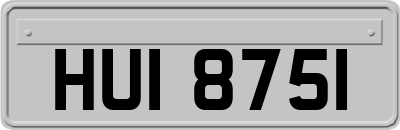HUI8751