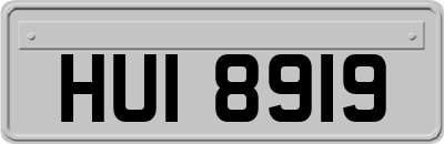 HUI8919