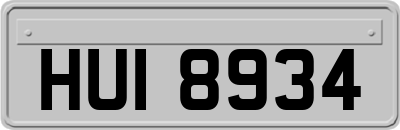 HUI8934