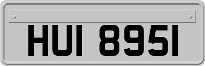 HUI8951