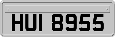 HUI8955