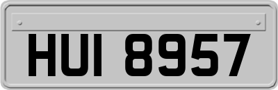 HUI8957