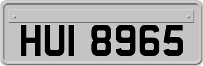 HUI8965