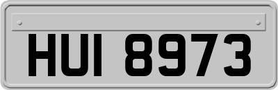 HUI8973