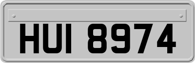 HUI8974