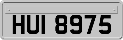 HUI8975