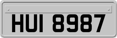 HUI8987