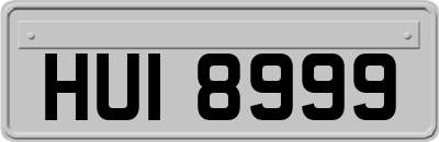 HUI8999