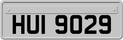 HUI9029