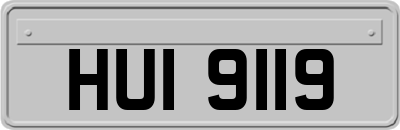 HUI9119