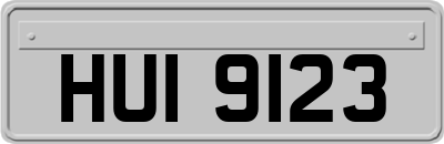 HUI9123