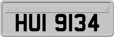 HUI9134