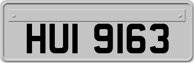 HUI9163