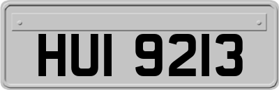 HUI9213