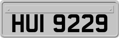 HUI9229