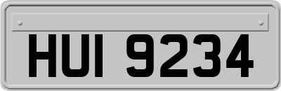 HUI9234