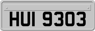 HUI9303