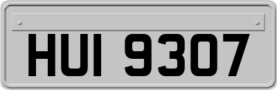 HUI9307