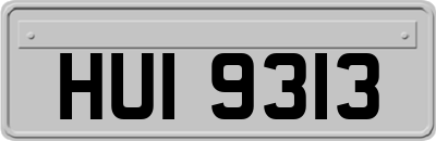 HUI9313