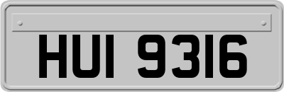 HUI9316