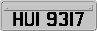 HUI9317