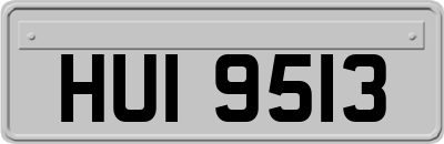 HUI9513