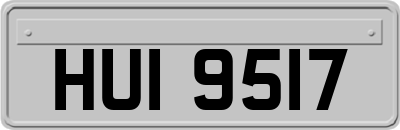 HUI9517