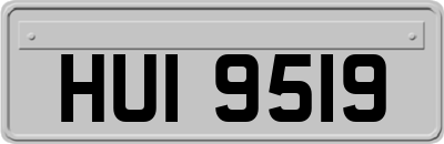 HUI9519