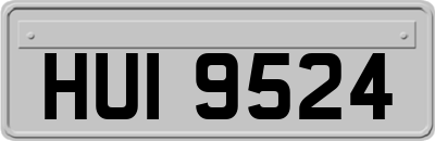 HUI9524