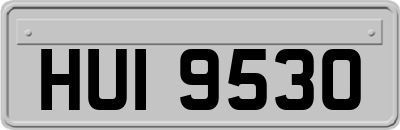 HUI9530