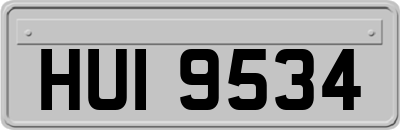 HUI9534