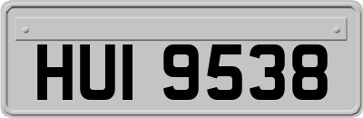 HUI9538